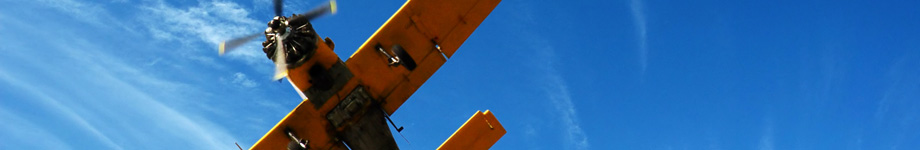 3w.miraunhacousa.es Rotating Header Image