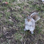london-y-zena-452-hyde-park