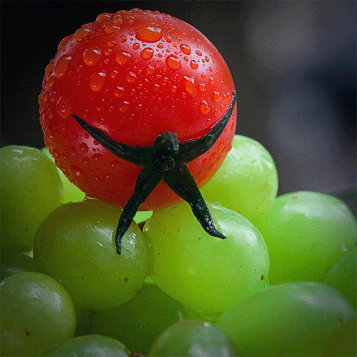 brave-tomato brave-tomato